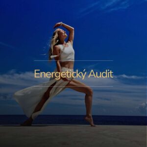 ENERGETICKÝ AUDIT - Diagnostika integrity