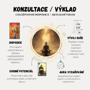 KONZULTACE / OSOBNÍ POTENCIÁL