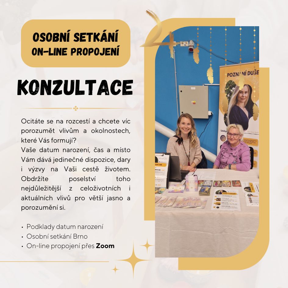 konzultace-online11